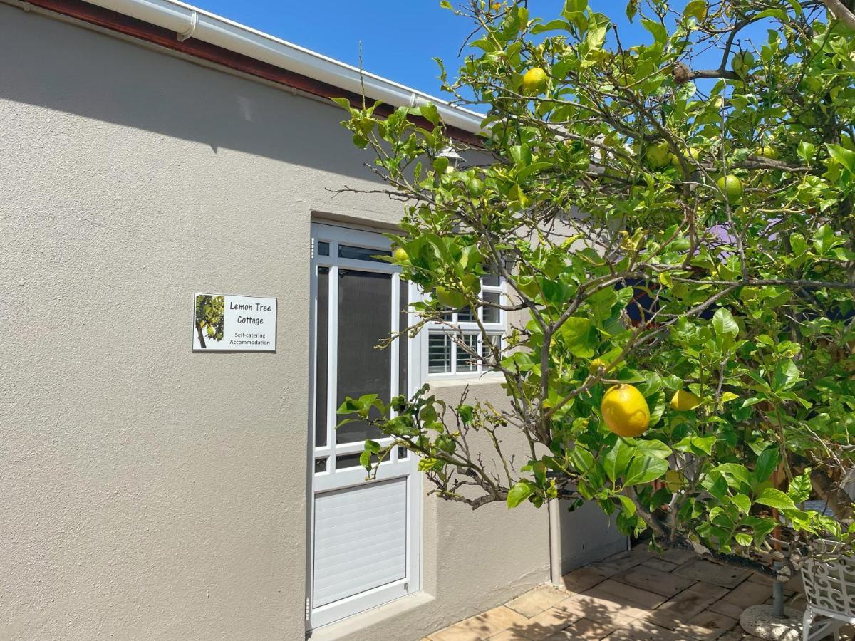 Lemon Tree Cottage Edgemead Екстериор снимка